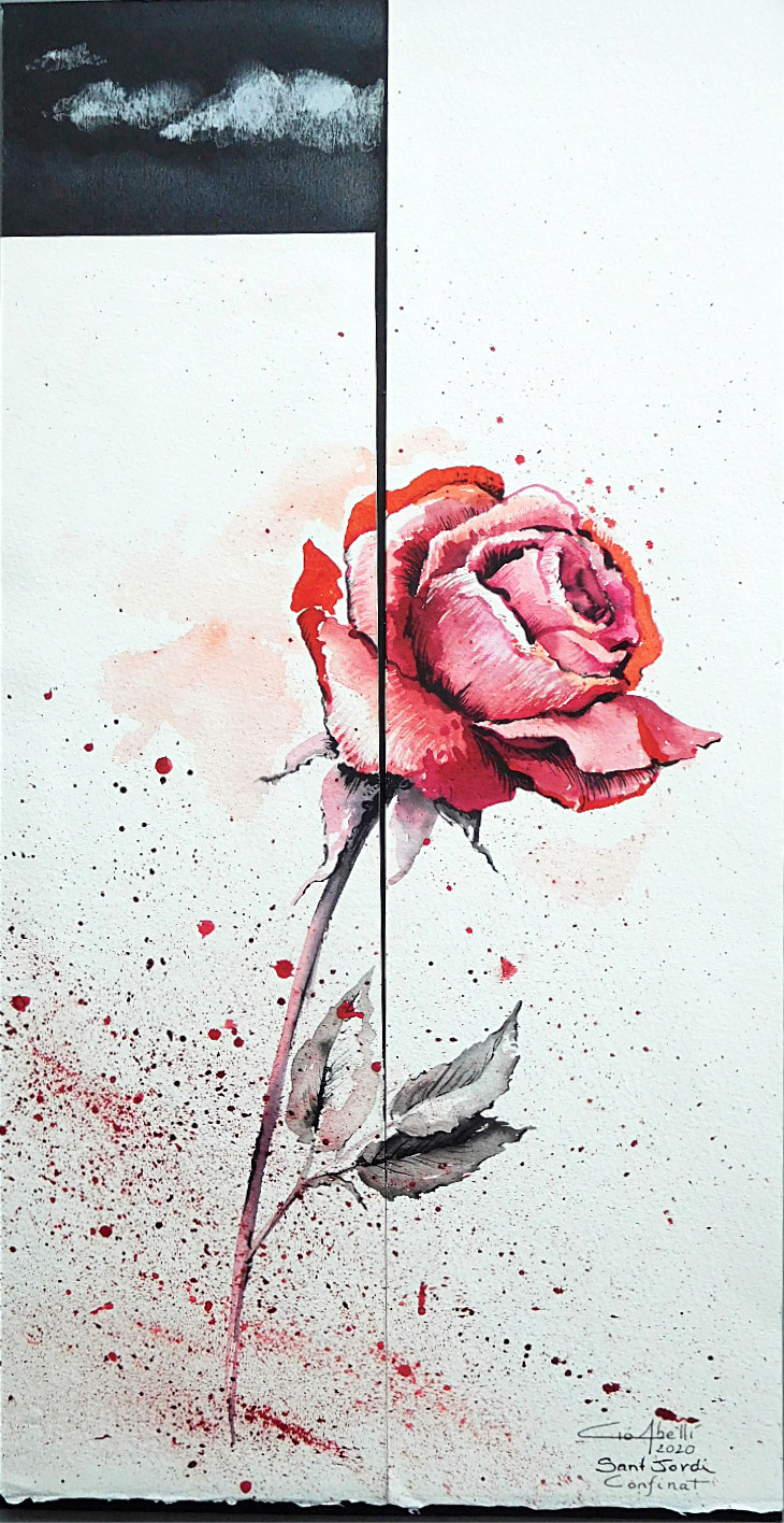 Rosa de Sant Jordi