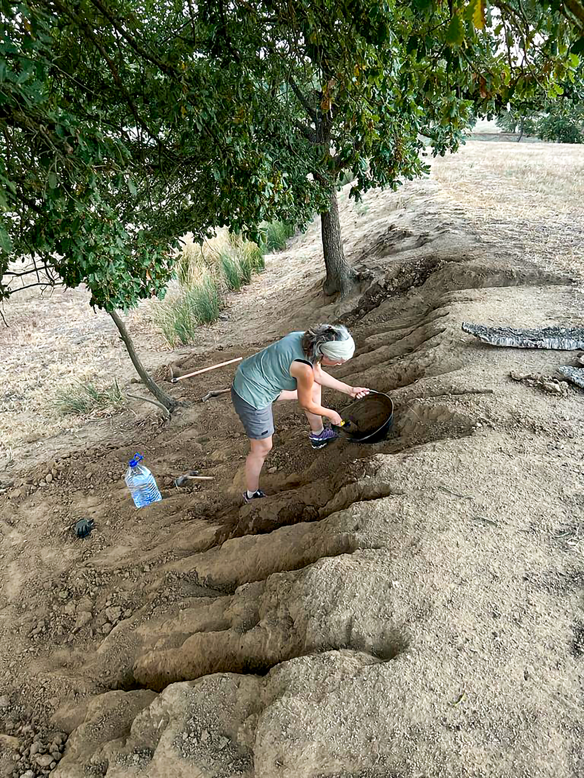 Ció esculpint les mans als xaragalls del marge