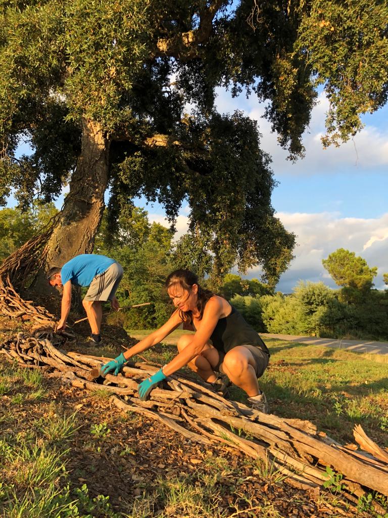 Ció i Alfons construint el flux de l’arbre