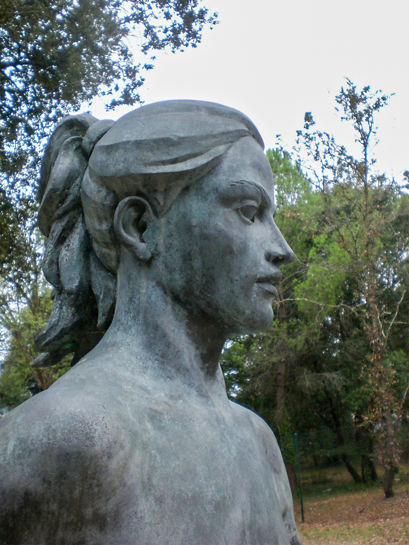 Detall del perfil